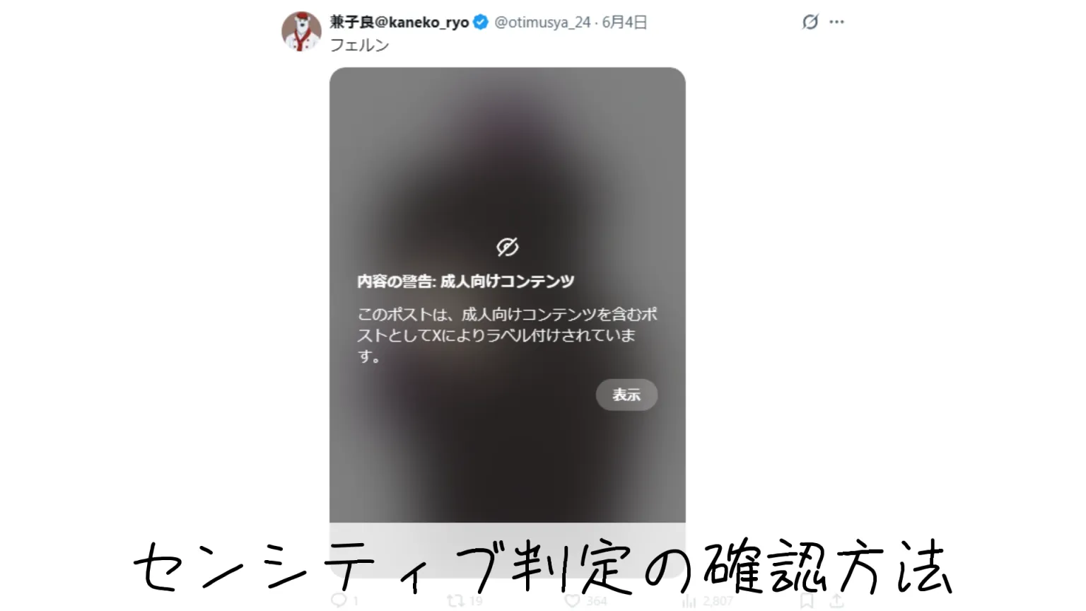 センシティブ判定の確認方法